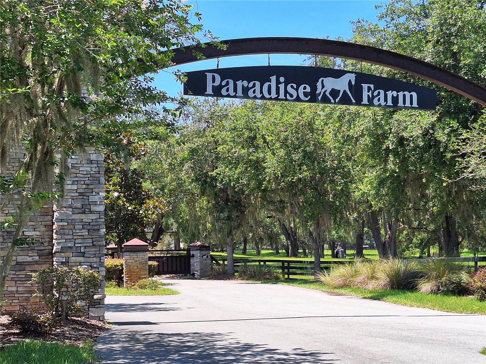 PARADISE FARM - Land
