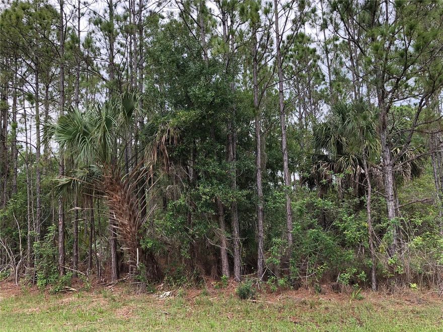 This beautiful property has a great location near Charlotte Harbor, beautiful views of the water, not far away, as well as easy access to sporting events county fairgrounds, and easy access to fishing