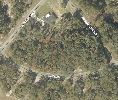Photo of Sequoia Loop Drive, Ocklawaha, FL 32179 (MLS # OM725115)