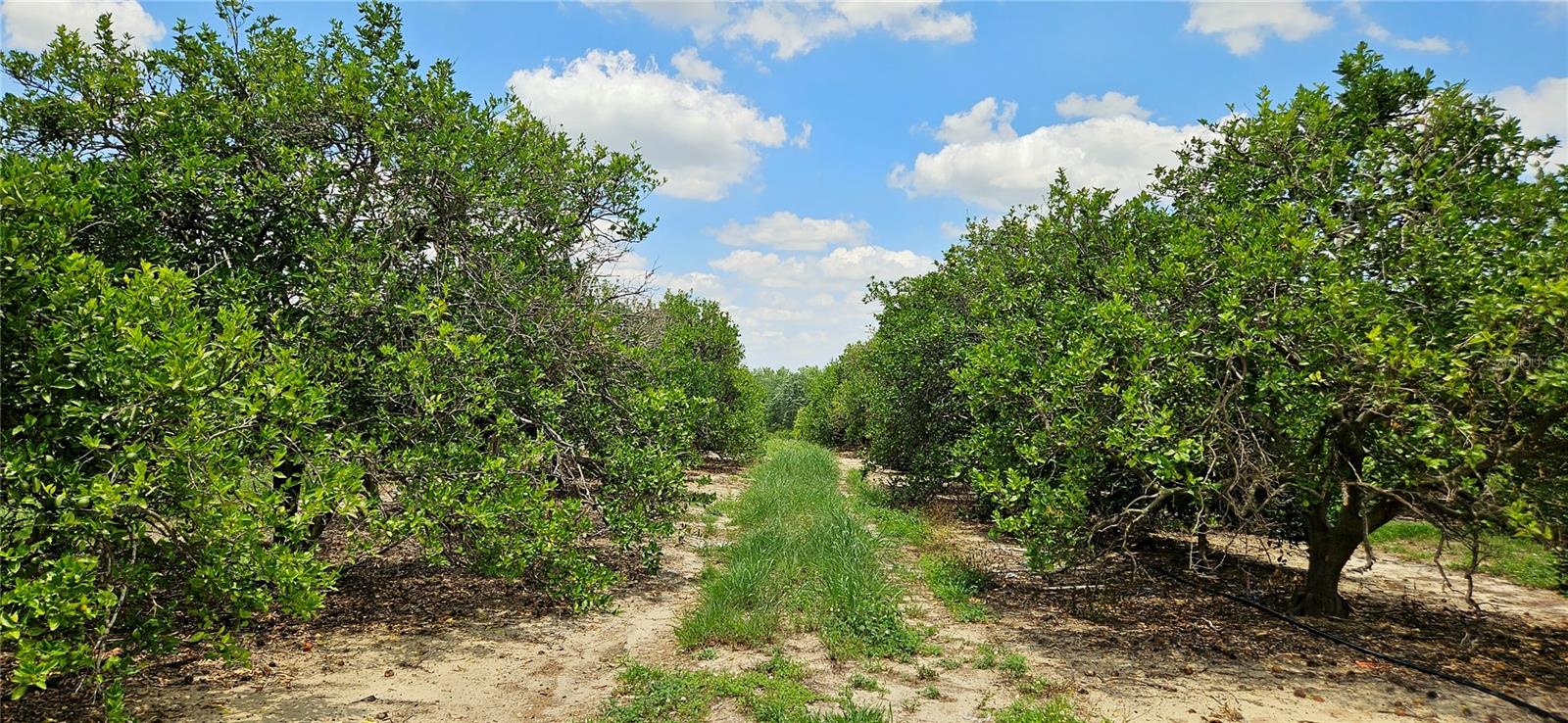 BUFFUM CHURCH ROAD