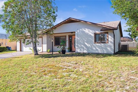 A home in PALM COAST