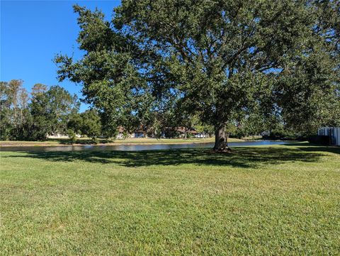 A home in OLDSMAR