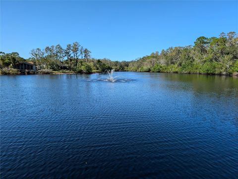 A home in OLDSMAR