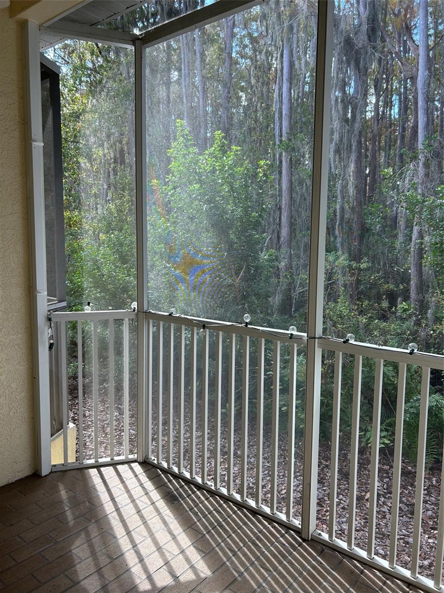 ASHLEY DOWNS - Residential Lease