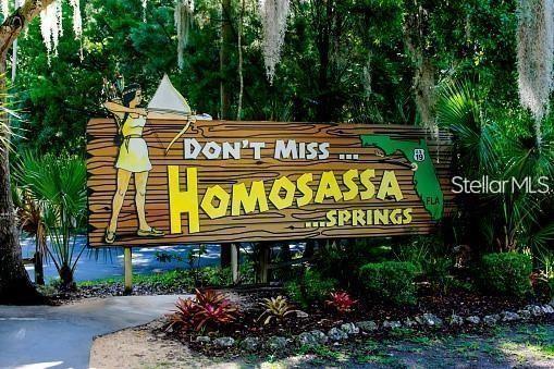 SUGARMILL WOODS CYPRESS VILLAGE - Land