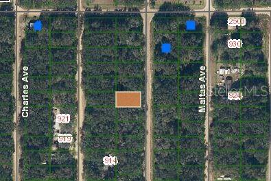Photo 1 of 4 — ANNETTE AVENUE, INTERLACHEN, FL 32148