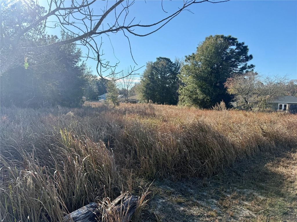 Photo of Dogwood Loop Court, Ocala, FL 34472 (MLS # O6379261)