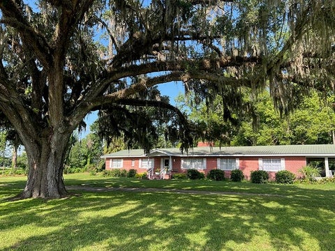 Photo of 18951 SE 15th Street, Williston, FL 32696 (MLS # OM728143)