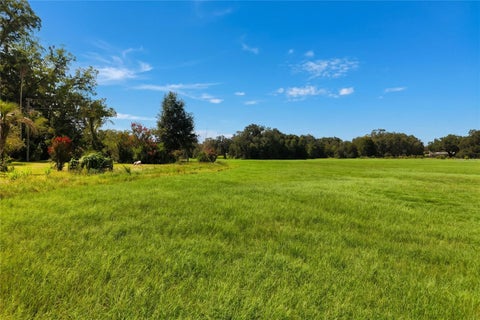 Tiny photo for 18951 SE 15th Street, Williston, FL 32696 (MLS # OM728143)