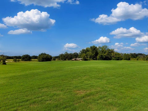 Tiny photo for 18951 SE 15th Street, Williston, FL 32696 (MLS # OM728143)