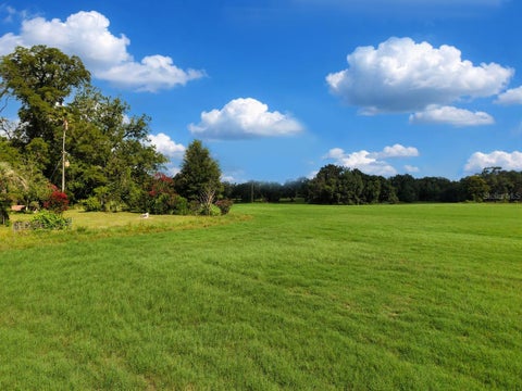 Tiny photo for 18951 SE 15th Street, Williston, FL 32696 (MLS # OM728143)