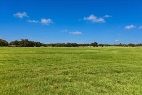 Tiny photo for 18951 SE 15th Street, Williston, FL 32696 (MLS # OM728143)