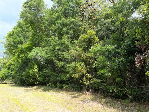 Featured picture for the property W7872110