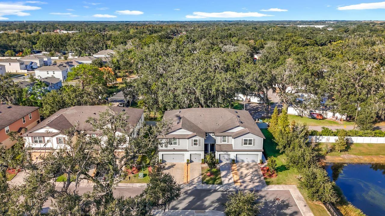 REGO PALMS - Residential