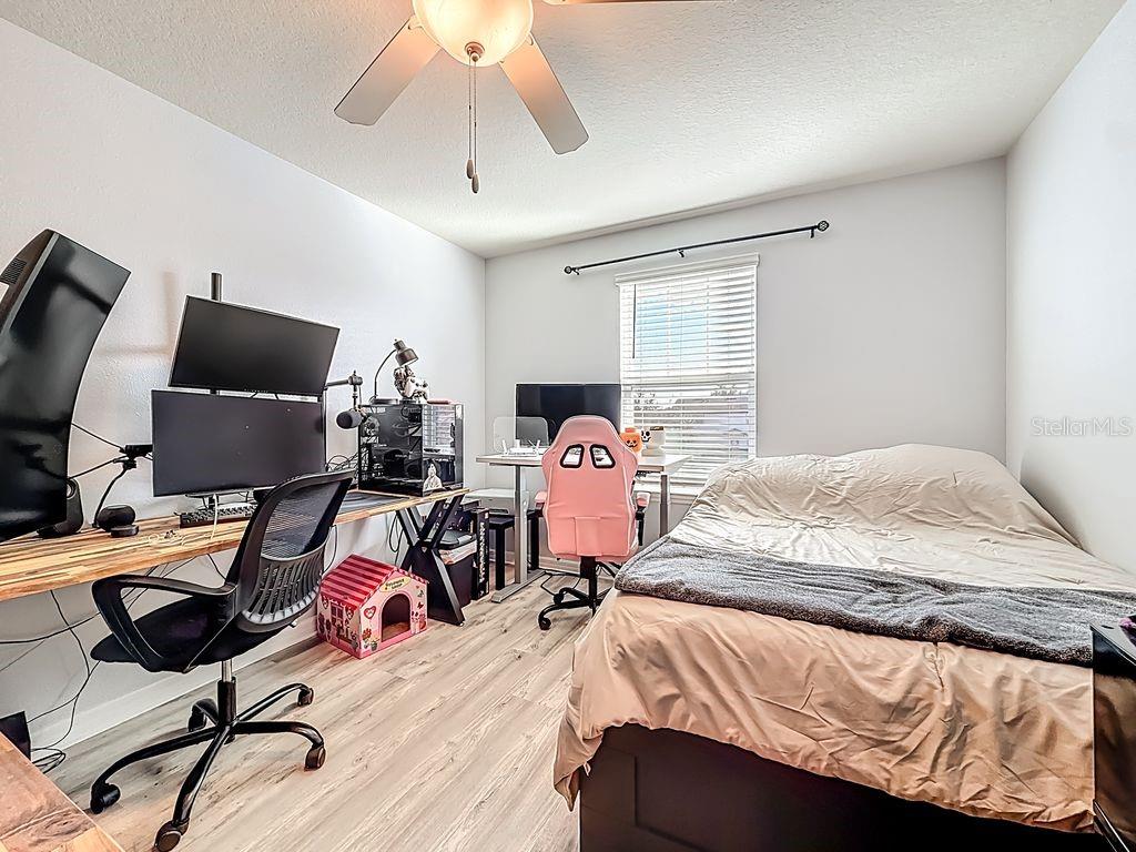 REGO PALMS - Residential