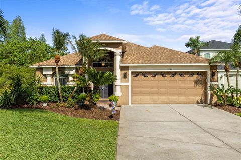 19335 SEACOVE DRIVE LUTZ FL 33558