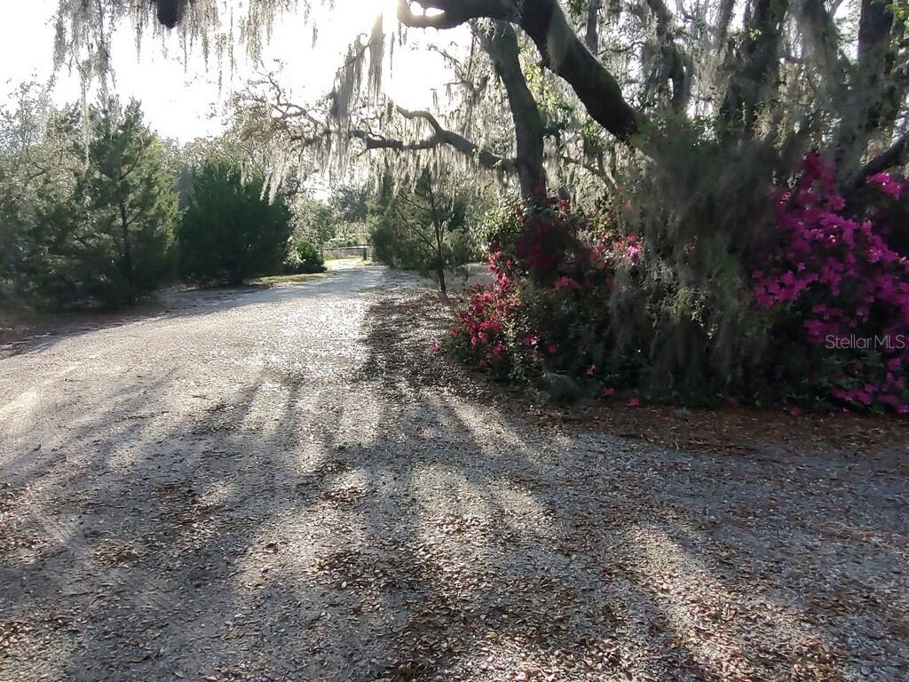 14415 COUNTY ROAD 448