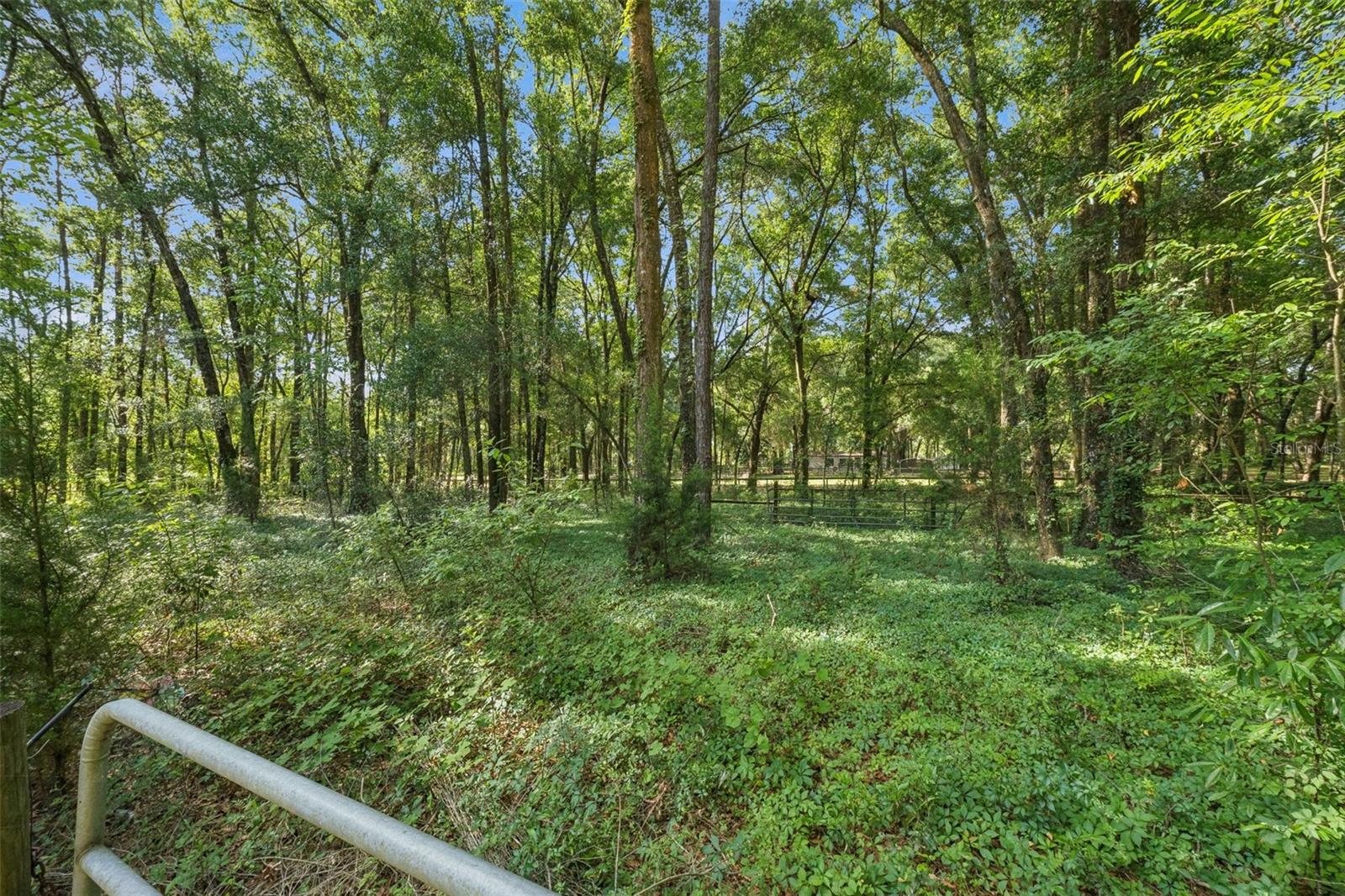 WEST MARION FARMS - Residential