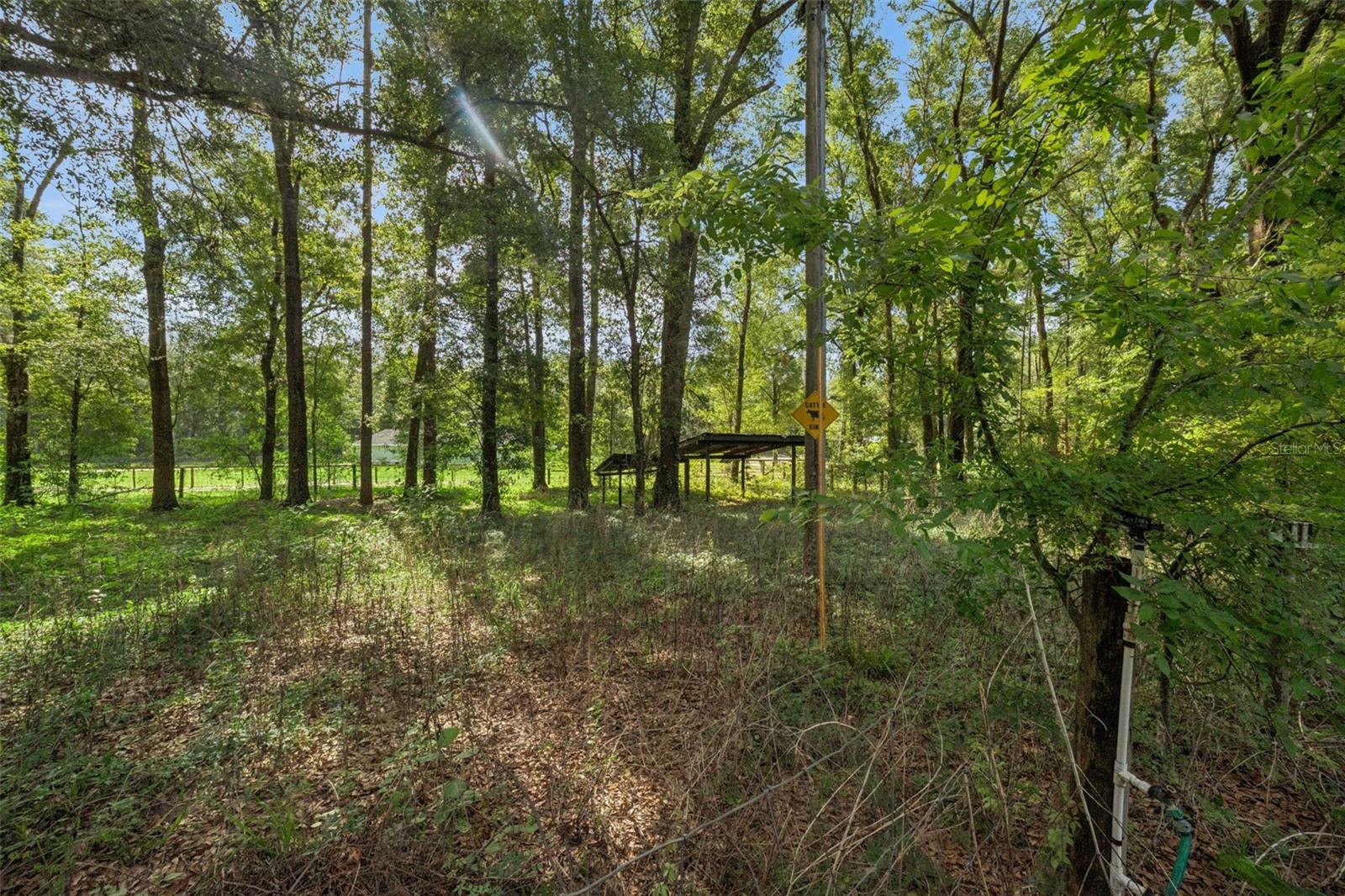 WEST MARION FARMS - Residential