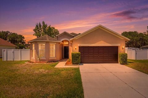 Photo of 4661 Hickory Stream Lane, Mulberry, FL 33860 (MLS # L4962274)