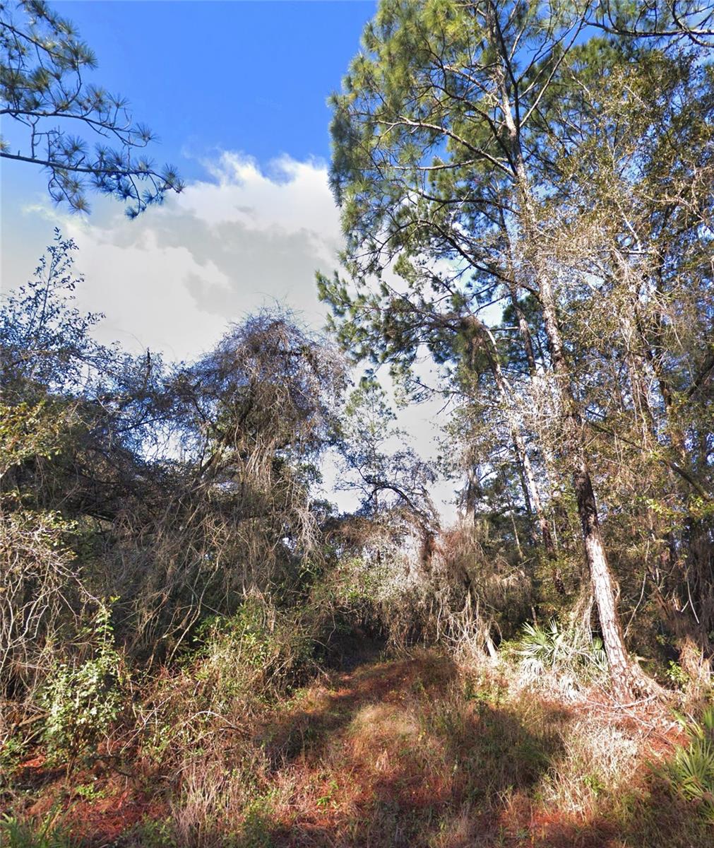 RIDGE MANOR ESTATE - Land