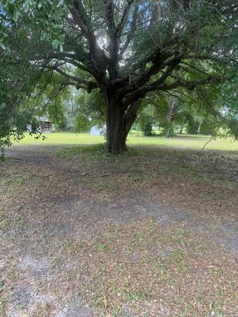 SEGREST - Residential