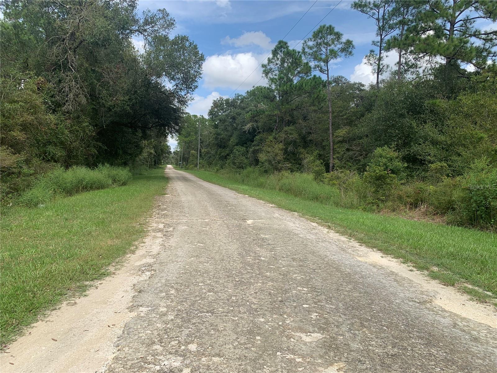 RIDGE MANOR ESTATE - Land