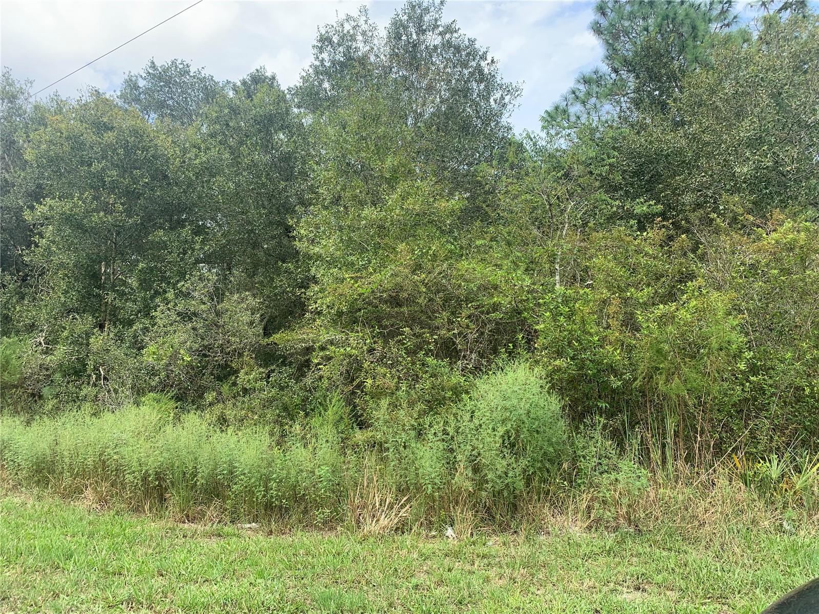 RIDGE MANOR ESTATE - Land