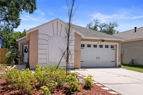 Photo of 15029 Deer Meadow Drive, Lutz, FL 33559 (MLS # TB8373722)