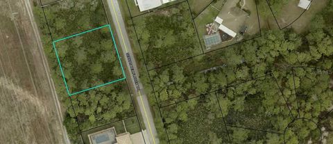 Photo of 32 Serbian Bellflower Trail, Palm Coast, FL 32164 (MLS # FC317995)
