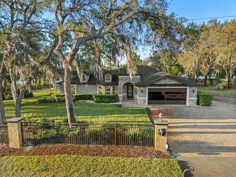 A home in EUSTIS