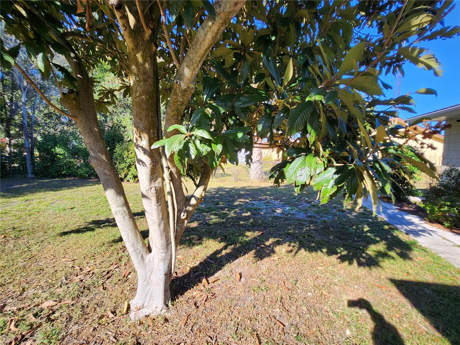 SILVER SPGS SHORES 04 - Residential