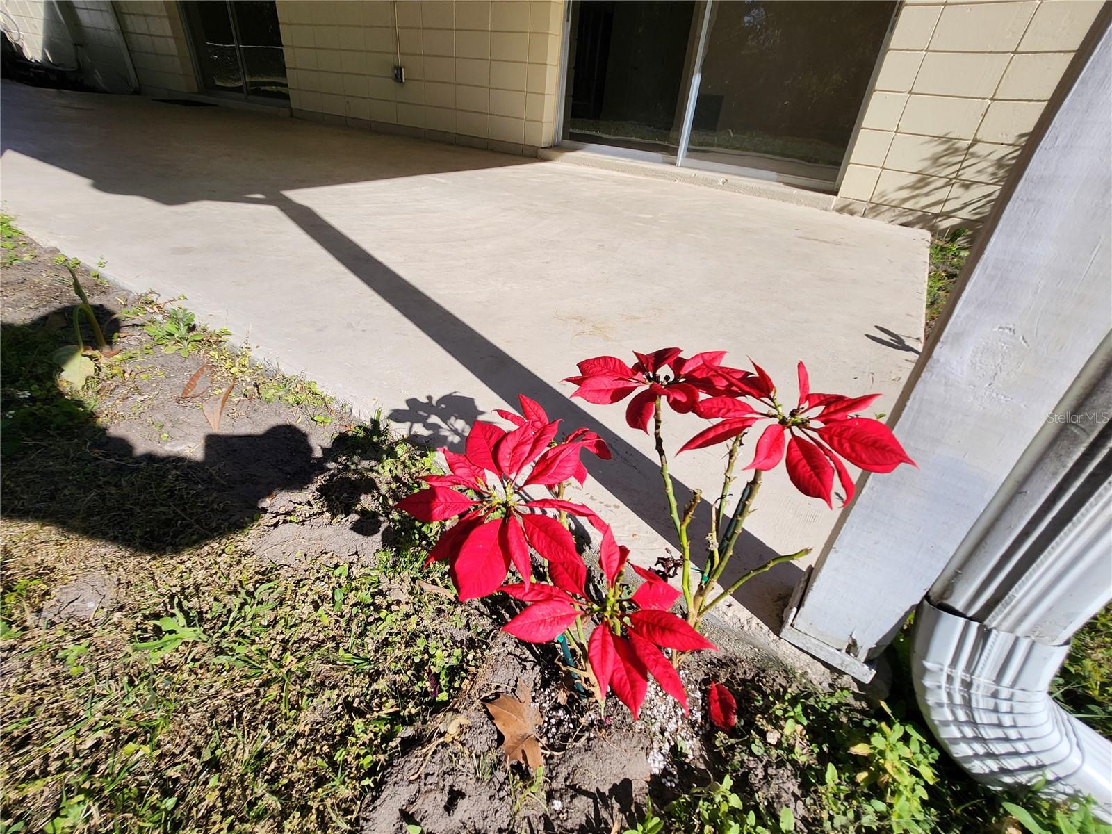 SILVER SPGS SHORES 04 - Residential