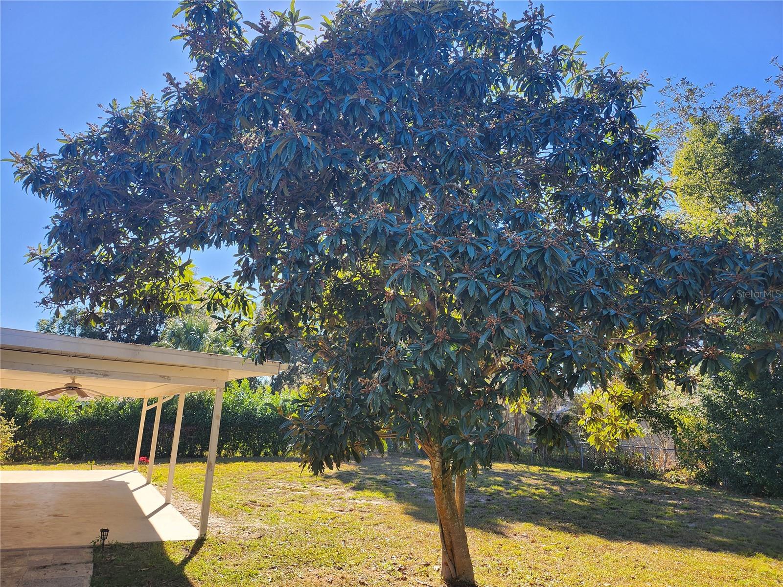 SILVER SPGS SHORES 04 - Residential