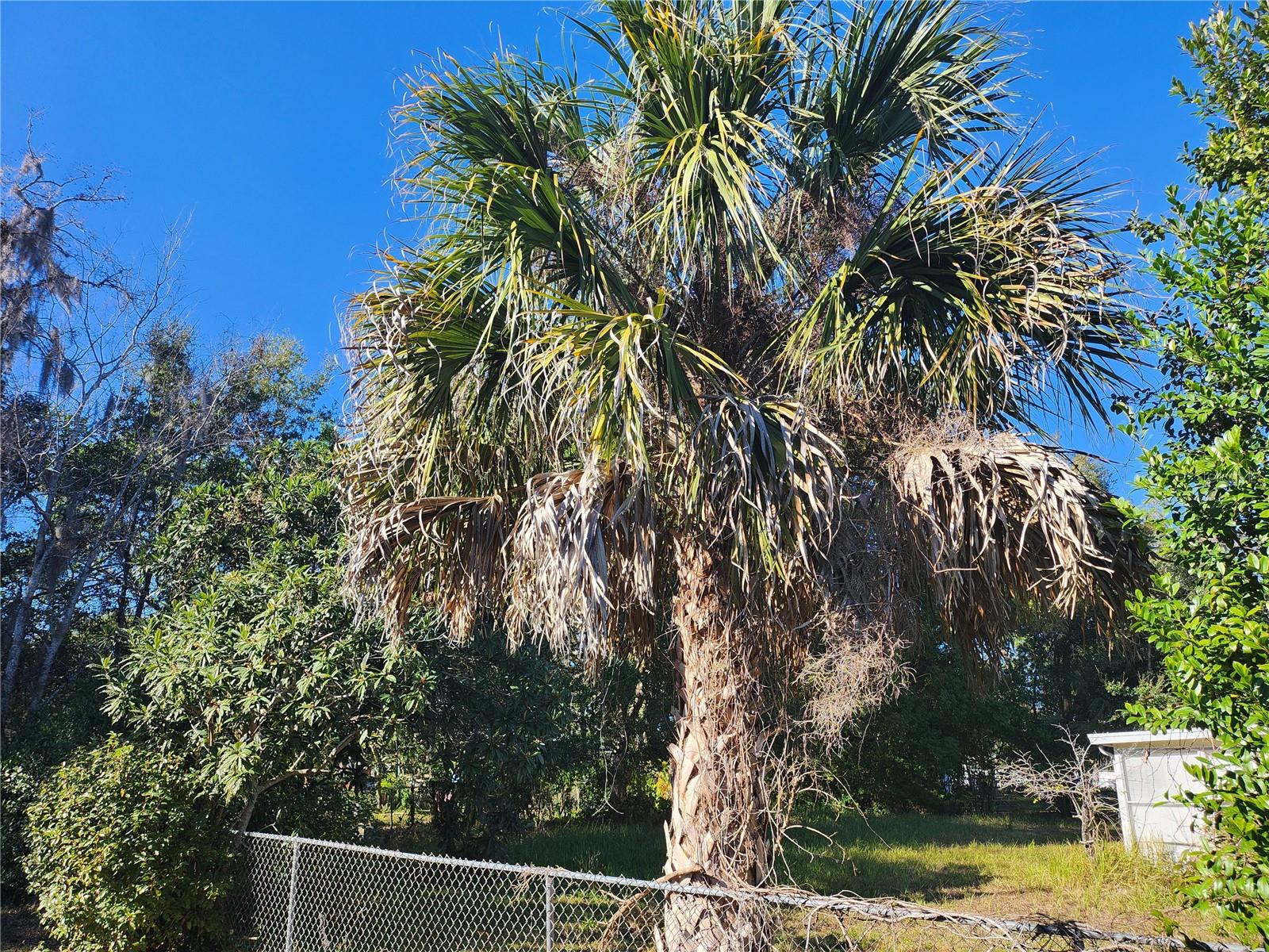 SILVER SPGS SHORES 04 - Residential