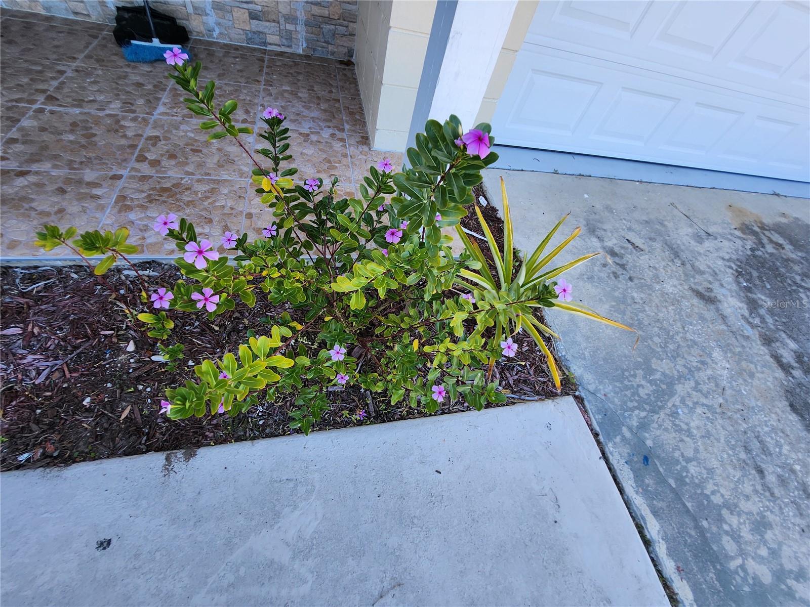 SILVER SPGS SHORES 04 - Residential