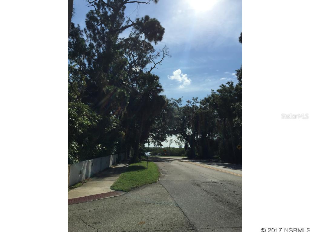 Hart In Riverside Park - Land