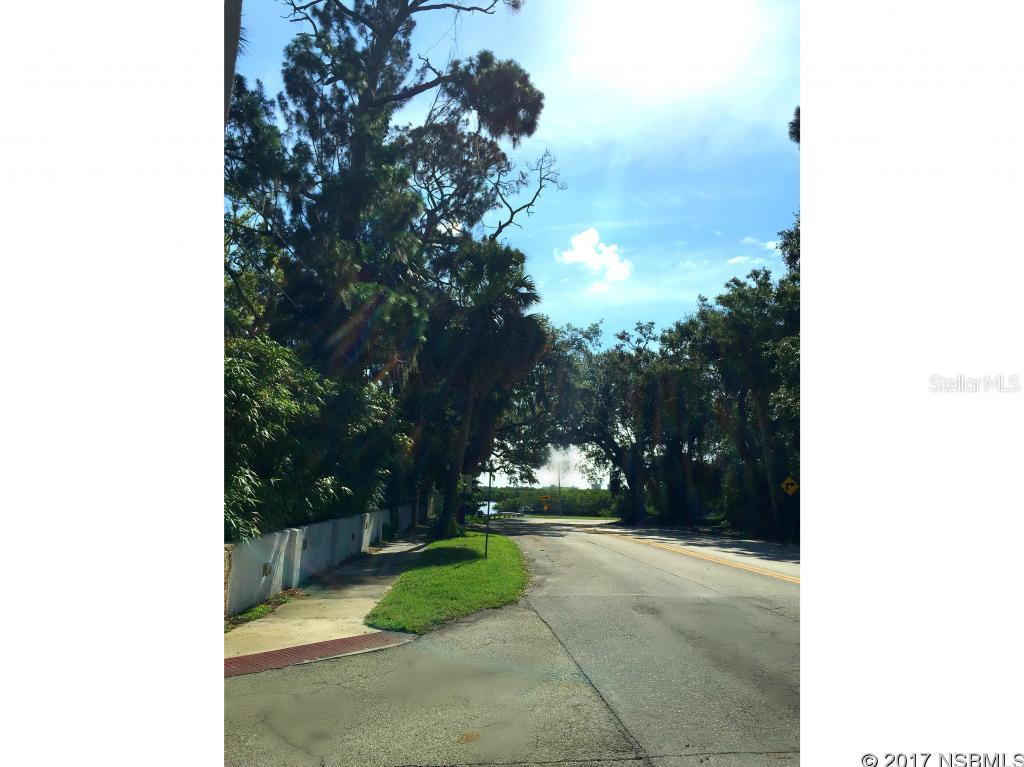 Hart In Riverside Park - Land