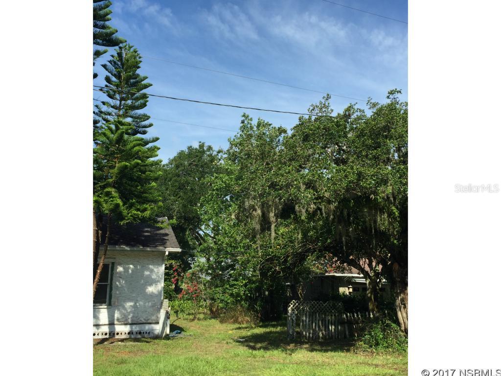 Hart In Riverside Park - Land