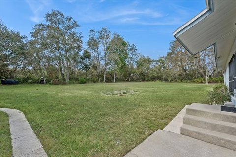 Tiny photo for 41731 Dahlia Street, Eustis, FL 32736 (MLS # O6386421)