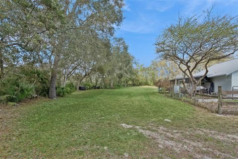 Tiny photo for 41731 Dahlia Street, Eustis, FL 32736 (MLS # O6386421)