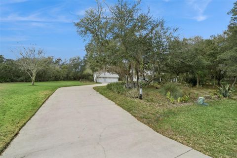 Tiny photo for 41731 Dahlia Street, Eustis, FL 32736 (MLS # O6386421)