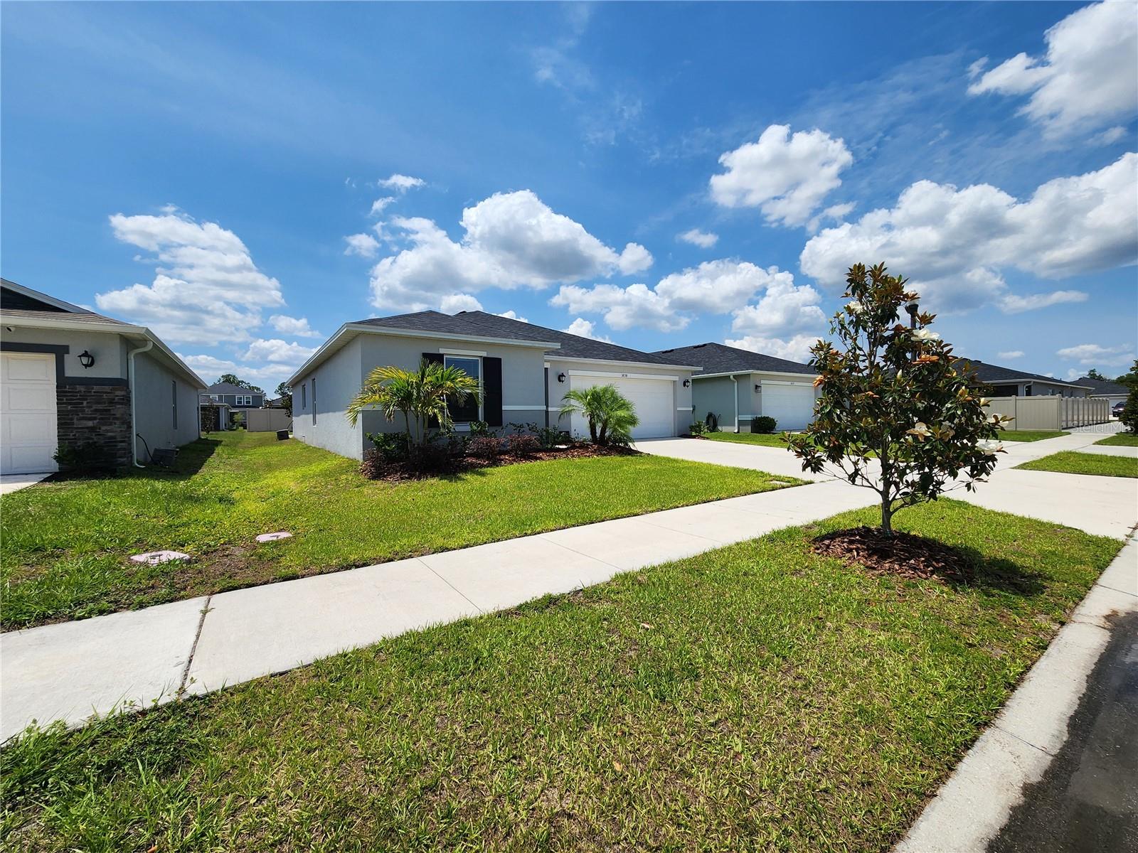 3838 WHITETAIL COURT