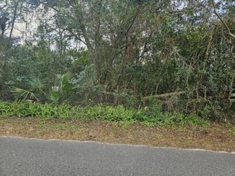 11119 BESSIE DIX ROAD SEFFNER FL 33584