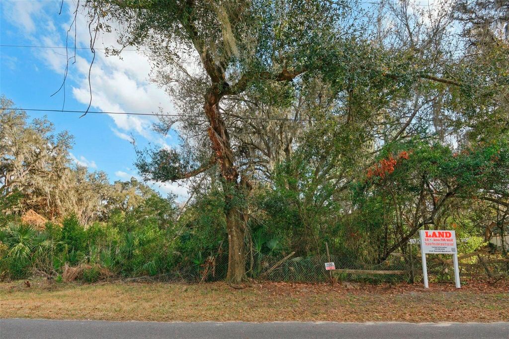 Photo of 11119 Bessie Dix Road, Seffner, FL 33584 (MLS # O6381164)