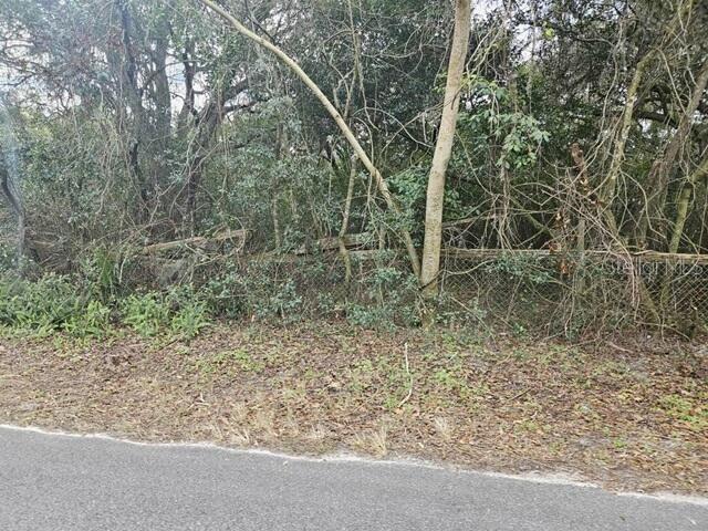 11119 BESSIE DIX ROAD