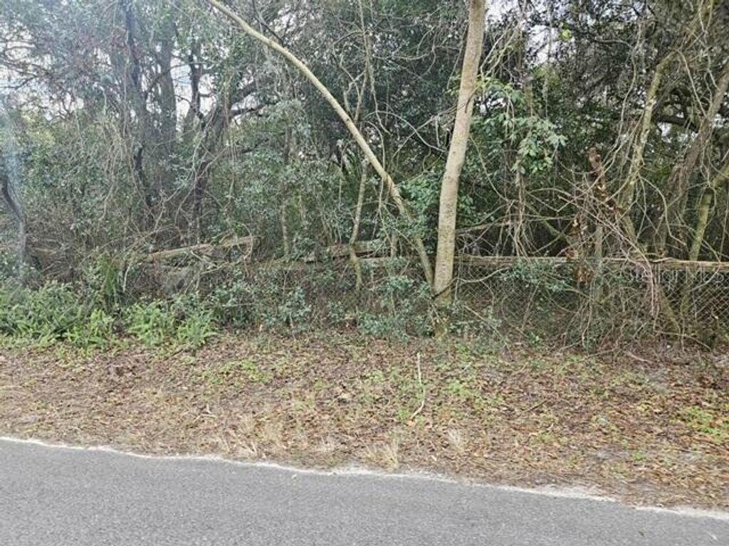 Photo of 11119 Bessie Dix Road, Seffner, FL 33584 (MLS # O6381164)