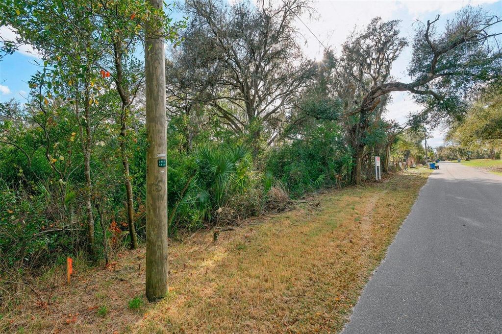 Photo of 11119 Bessie Dix Road, Seffner, FL 33584 (MLS # O6381164)