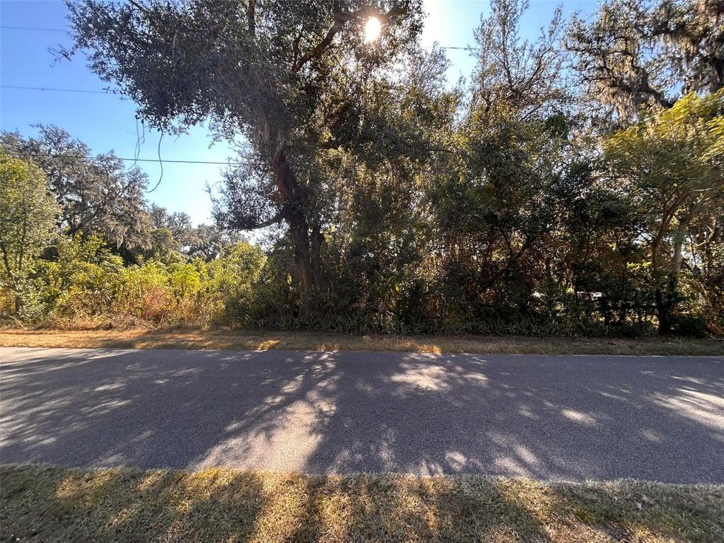 Photo of 11119 Bessie Dix Road, Seffner, FL 33584 (MLS # O6381164)