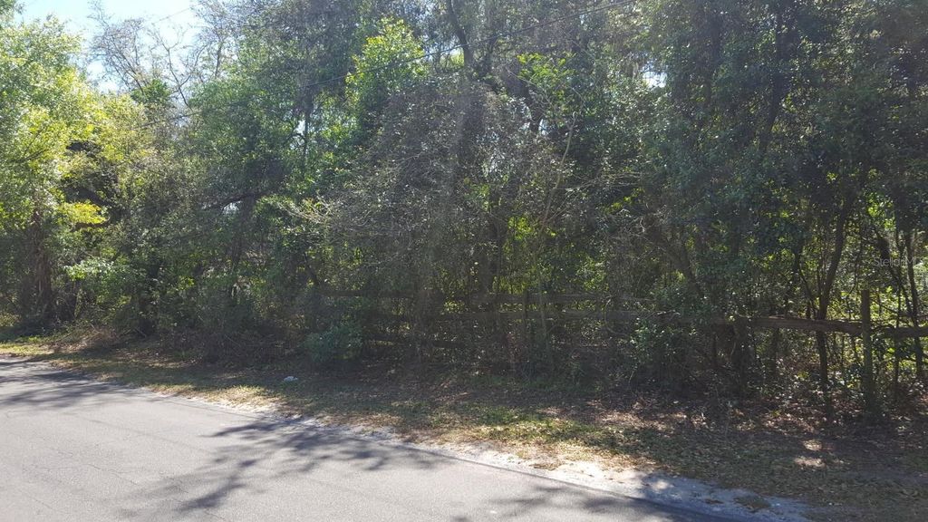 Photo of 11119 Bessie Dix Road, Seffner, FL 33584 (MLS # O6381164)